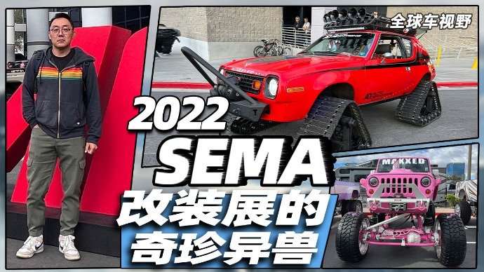 你敢相信么？有人搞了台燃油版的特斯拉！| 全球车视野