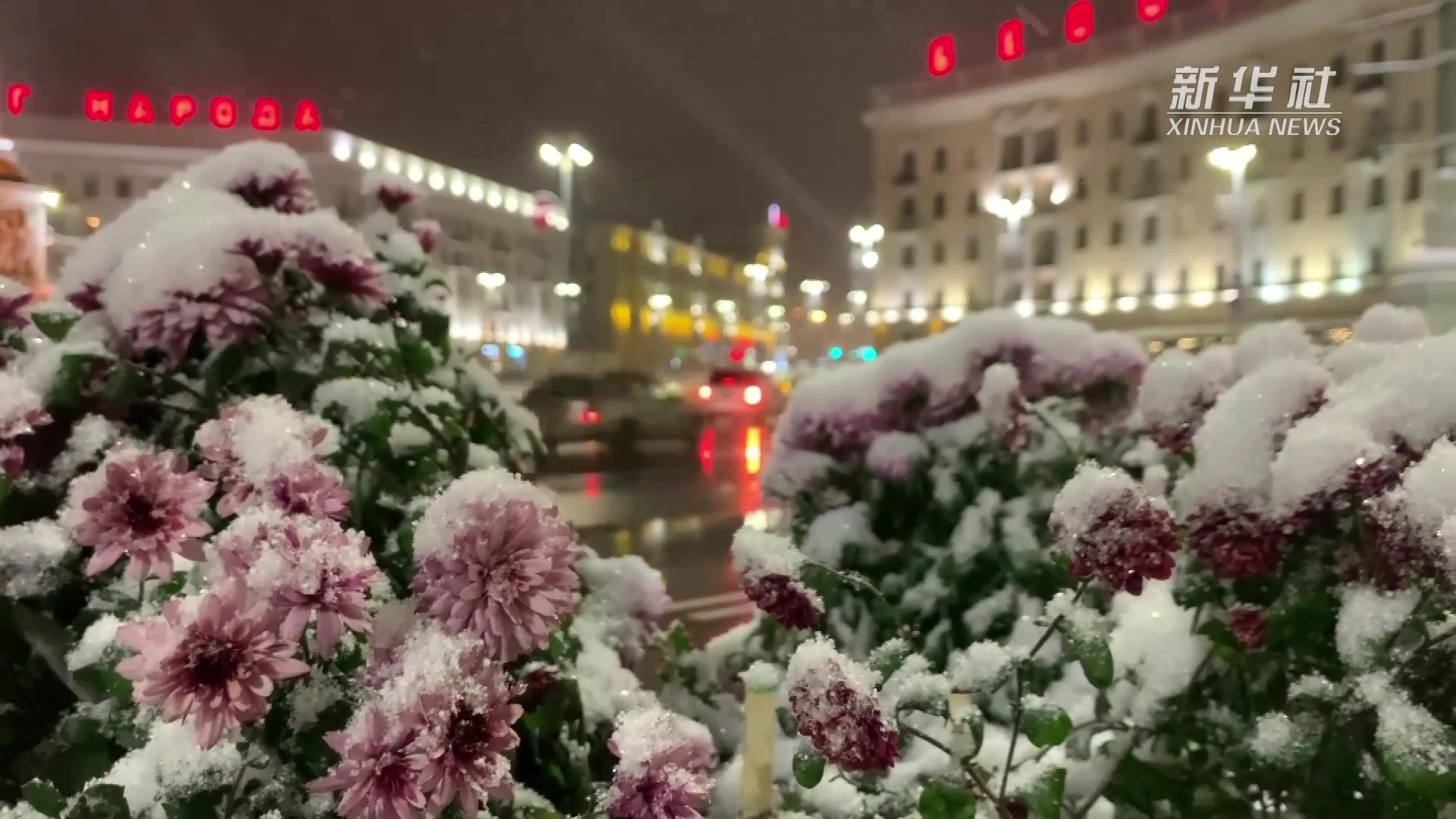 明斯克迎来首场降雪