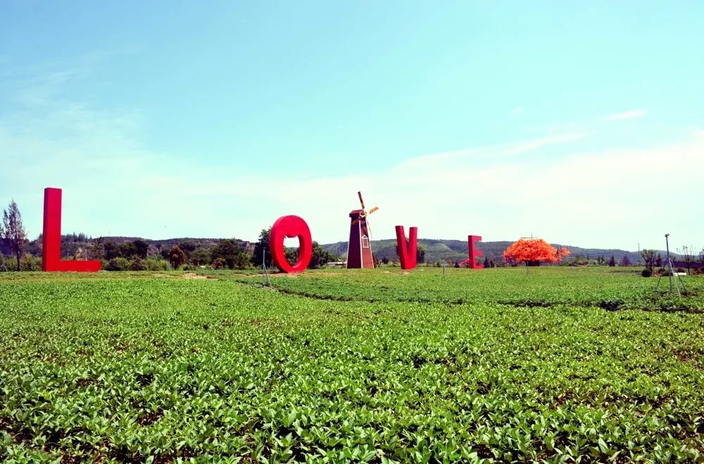 “踢”上热搜的甘肃泾川，还有更出名的王母宫大云寺