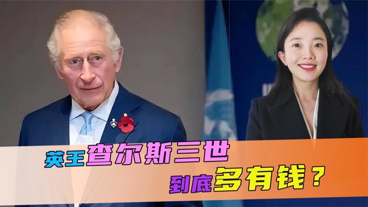 英国国王查尔斯到底多有钱？