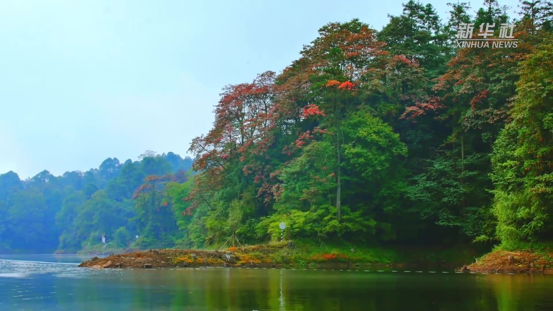 千城胜景｜森林奇境 碧水铜锣