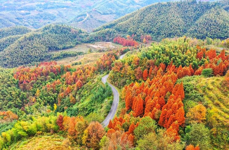 全域旅游助力乡村振兴