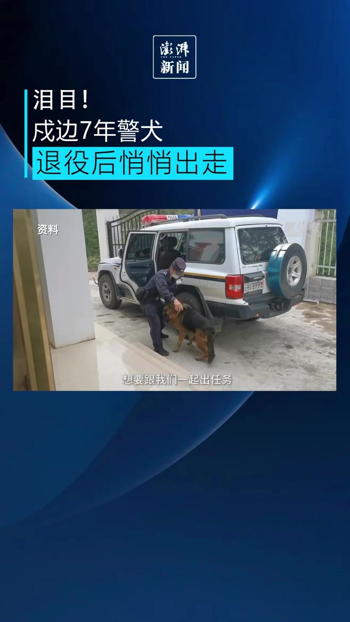 泪目！戍边7年警犬退役后自感“时日无多”悄悄离开