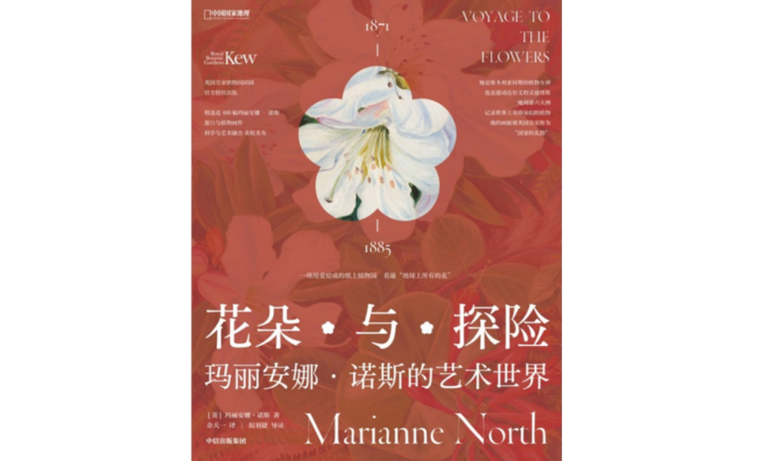 《花朵与探险：玛丽安娜·诺斯的艺术世界》，[英]玛丽安娜·诺斯 著，余天一 祝羽捷 译，中信出版集团，2022年11月。