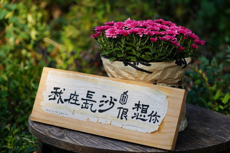 一盆菊，一方景。