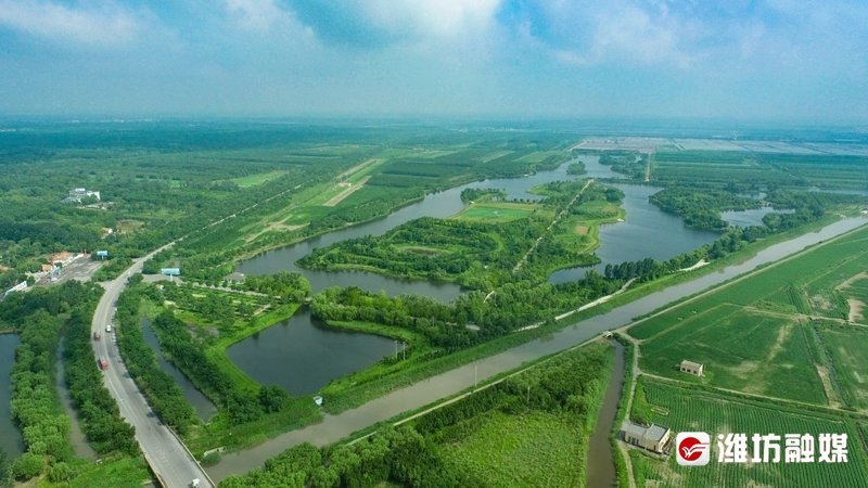 寿光滨海国家湿地公园。