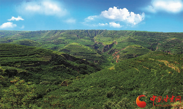 这就是传说中的文武双全吧！甘肃Boy凭实力"踢"火小城