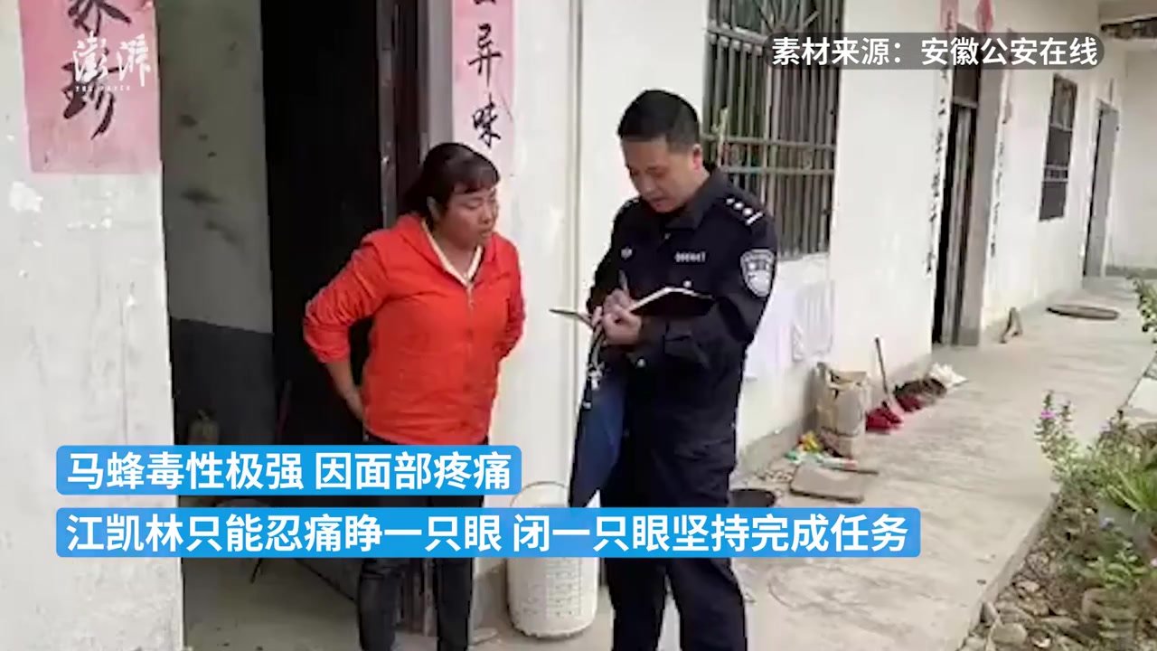 民警进山办案被马蜂蜇伤，“睁一只眼闭一只眼”忍痛完成任务