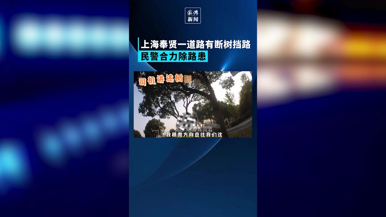 民警巡逻途中遇 东北虎 拦路 它会不会扑你车