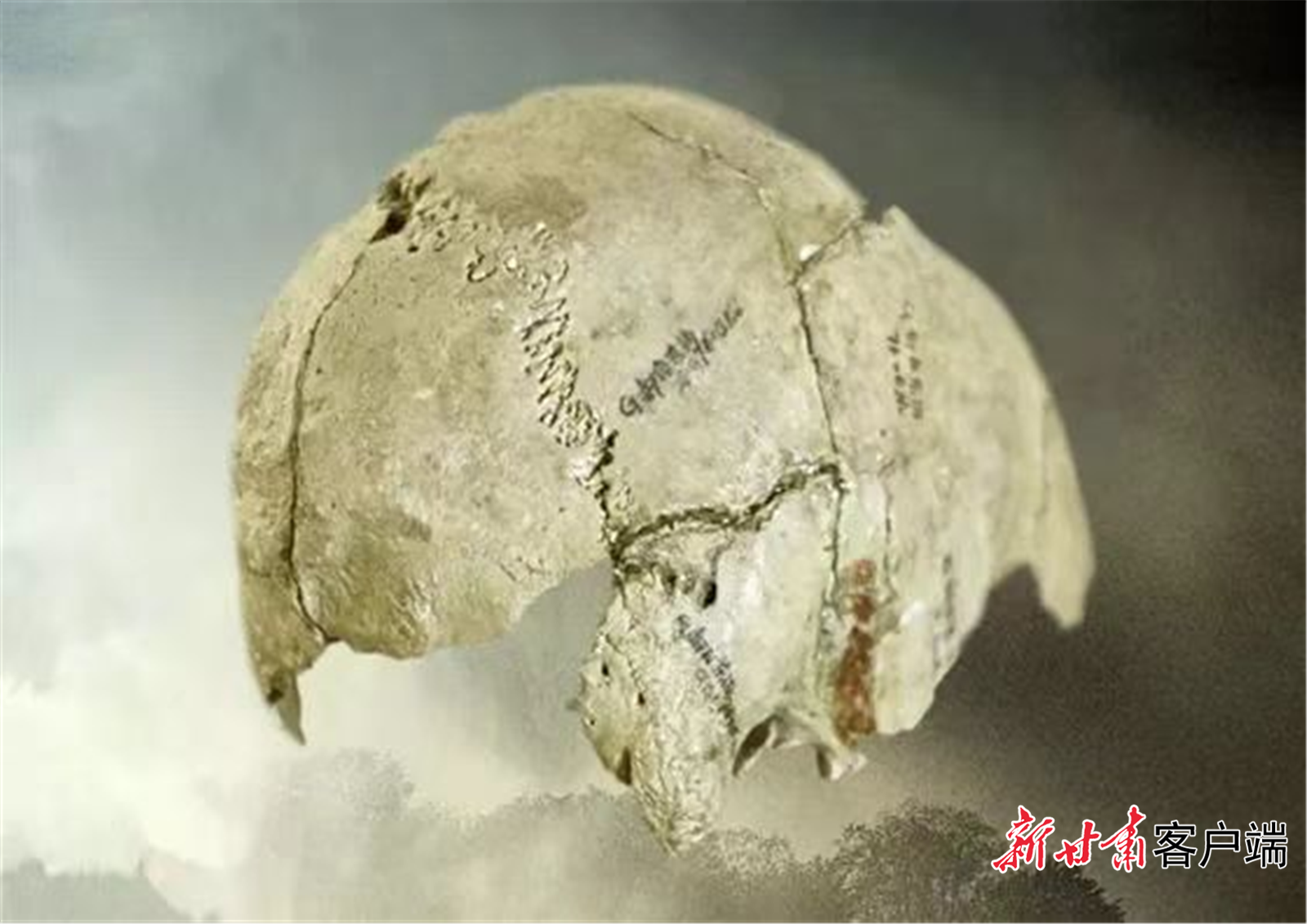 泾川发现了3万至5万年前的“泾川人”头盖骨化石