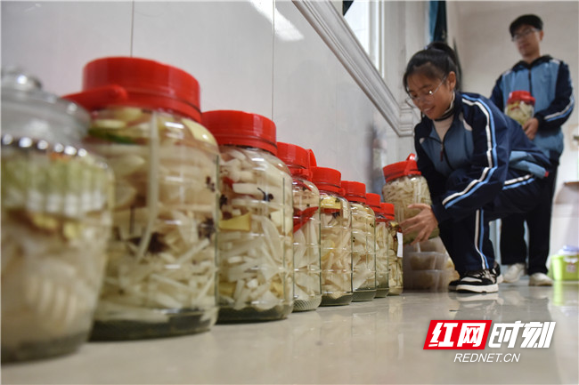 同学们把制作好的泡菜搬到教师办公室，集中储存发酵。
