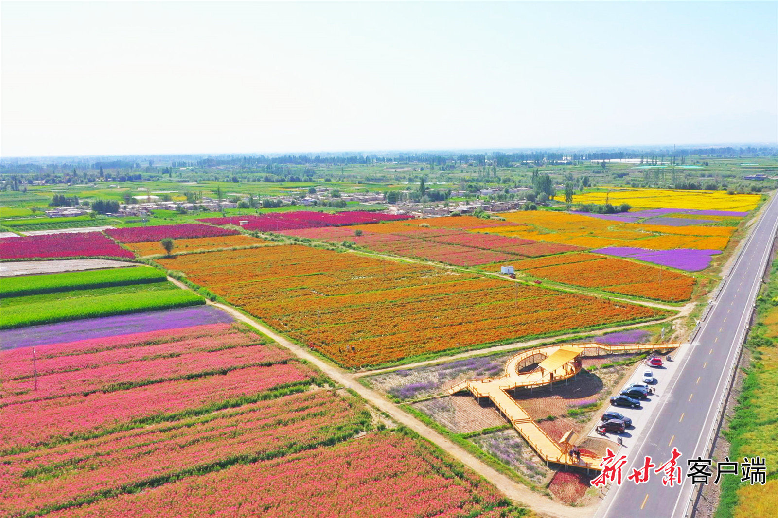 肃州区制种产业基地