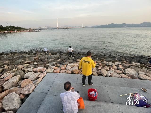 无视劝阻、破坏生态，深圳湾公园钓鱼引争议
