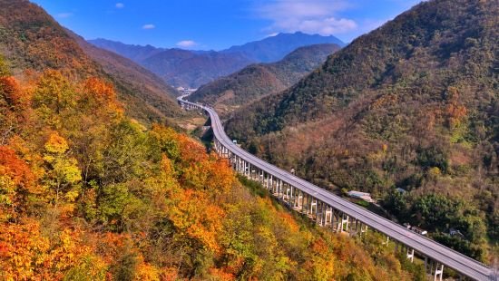 宁石高速秋景如画。