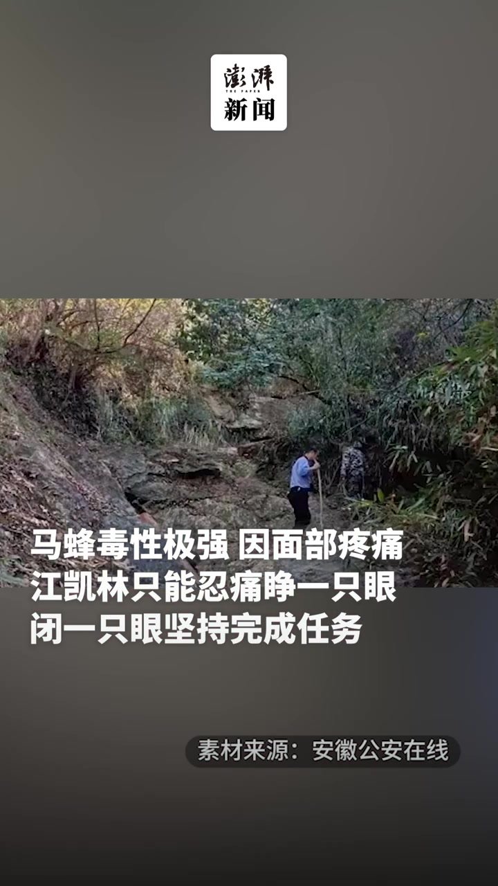 民警进山办案途中被马蜂蜇伤，忍痛完成任务