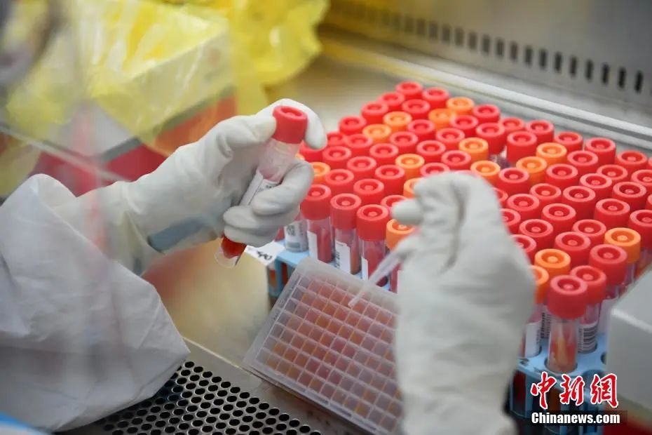 资料图:气膜方舱内的工作人员正在开展工作。张浪 摄