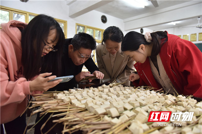 师生在生物实验室观察豆腐乳的发酵情况，总结经验。