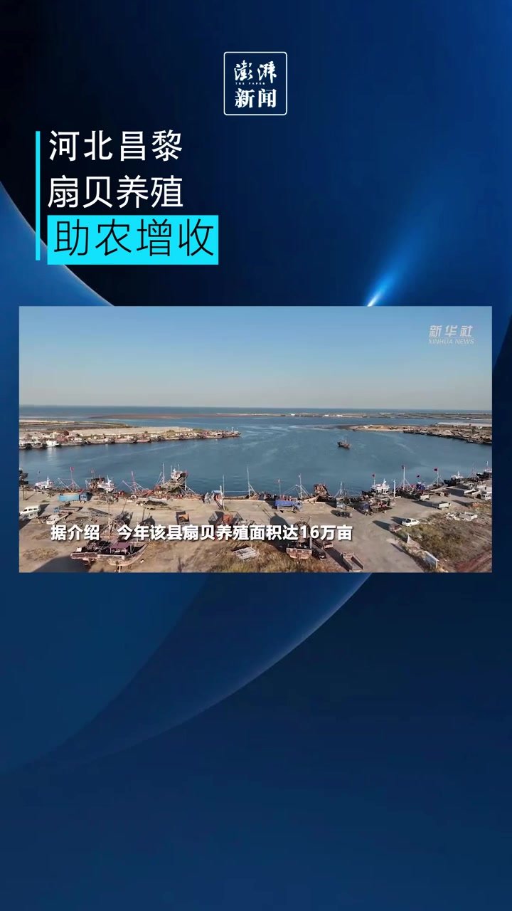 河北昌黎新模式养殖扇贝面积达16万亩_凤凰网视频_凤凰网