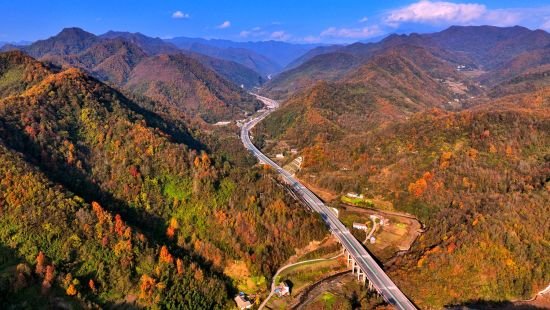 宁石高速秋景如画。
