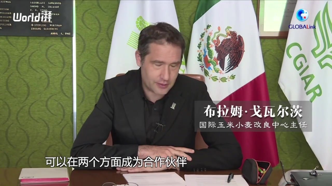 助力粮食增产增收，中国与国际玉米小麦改良中心的双赢合作