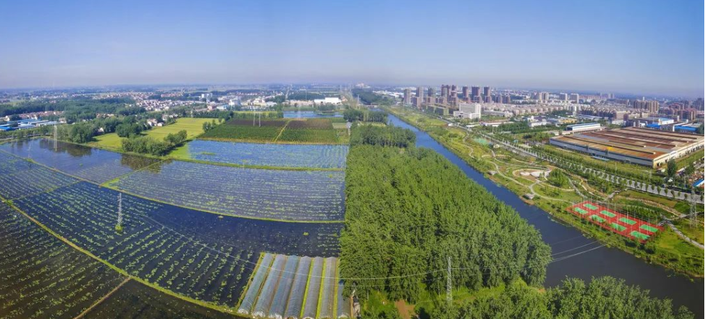 总投资1.9亿元!徐州睢宁徐沙河治理工程全面开工凤凰网江苏_凤凰网