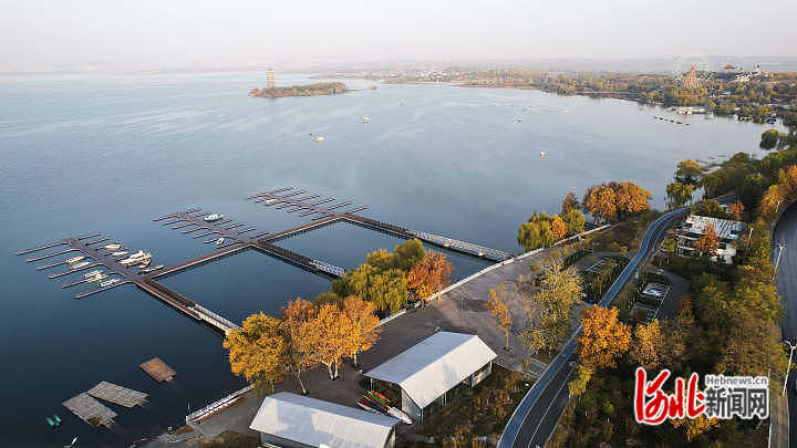 河北磁县：湿地生态美 候鸟入画来1.jpg