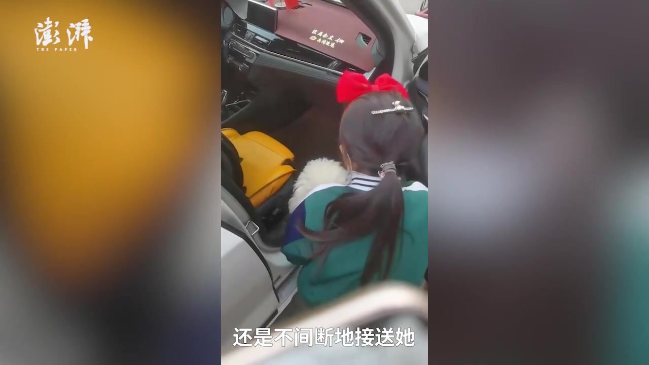 怀孕狗狗坚持接送被罚独自上学的小女孩