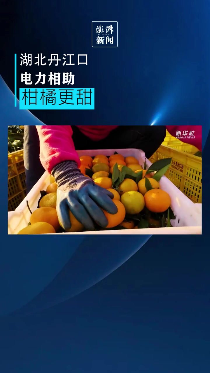 柑橘挂果遇干旱，“南水北调”灌溉喜获丰收