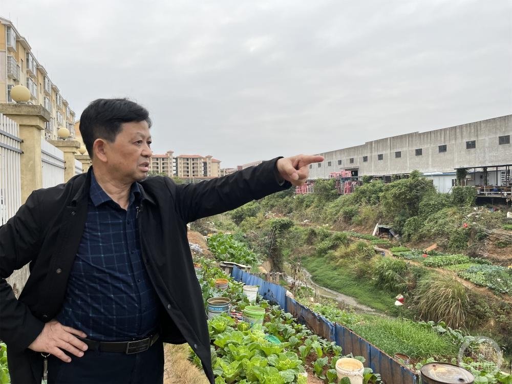 ▲龚细长称，雄鹰公司50亩土地中有部分被其他公司侵占。摄影/上游新闻记者 萧鹏