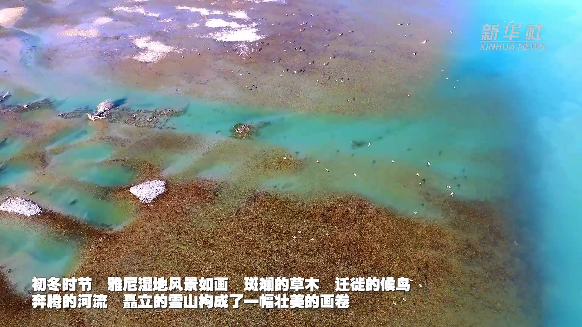 俯视雅尼湿地