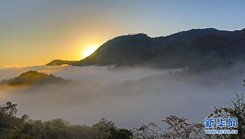 山峰在翻腾的云海中若隐若现，壮美无比。新华网发 徐军 摄