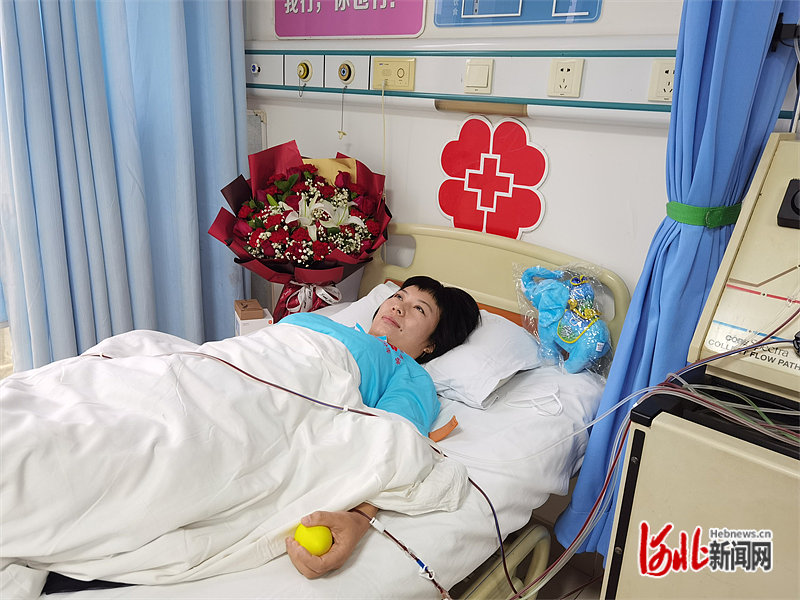 杨凡正在捐献造血干细胞。 河北省红十字会三献工作事务中心供图