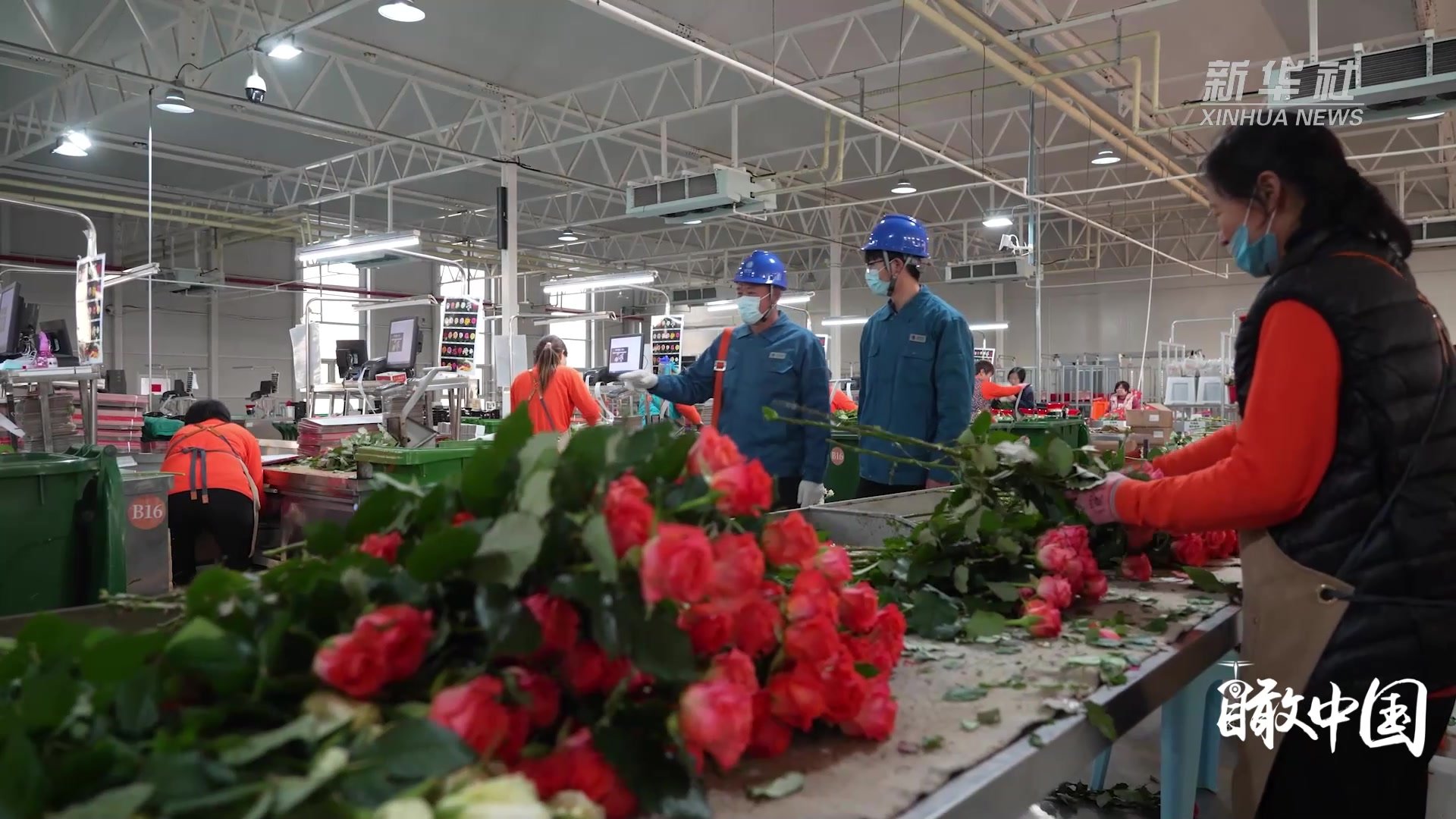 瞰中国｜山东莒县：电力“满格赋能”花果香溢满振兴路