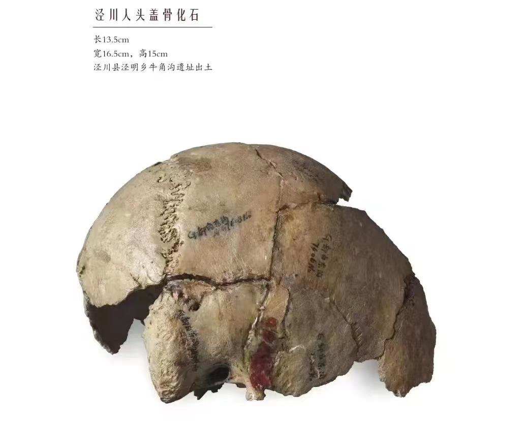 这就是传说中的文武双全吧！甘肃Boy凭实力"踢"火小城