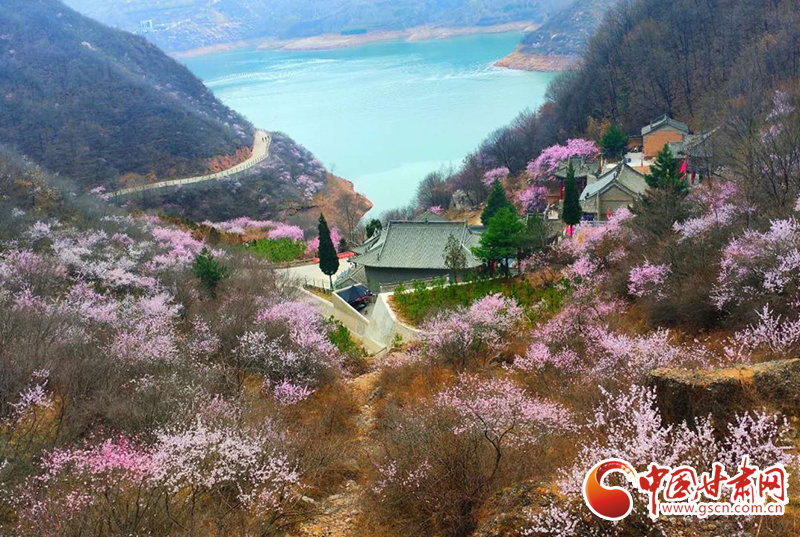 这就是传说中的文武双全吧！甘肃Boy凭实力"踢"火小城