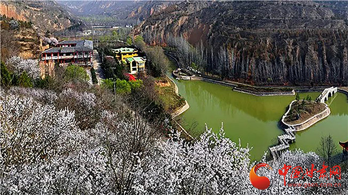 这就是传说中的文武双全吧！甘肃Boy凭实力"踢"火小城