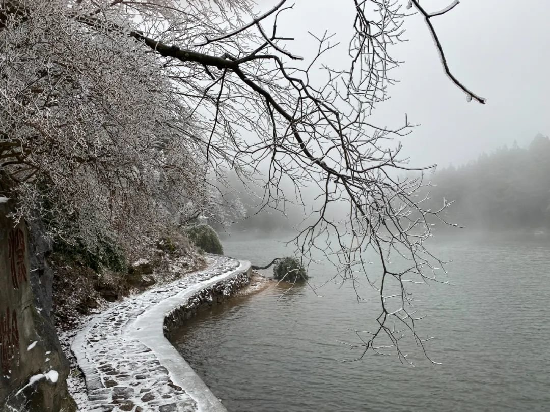 唐賢斌/攝從昨天夜裡起,雪花就開始飄落在寧波四明山區.