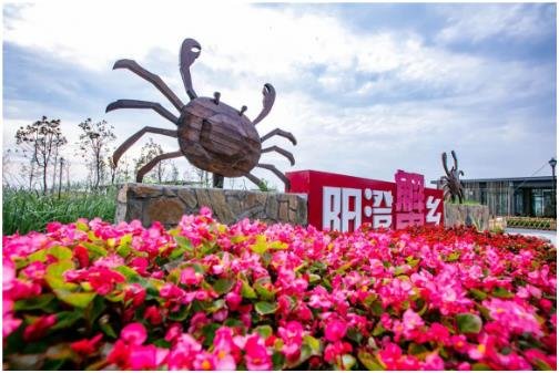 苏州阳澄湖旅游景点推荐，阳澄湖一日旅游攻略