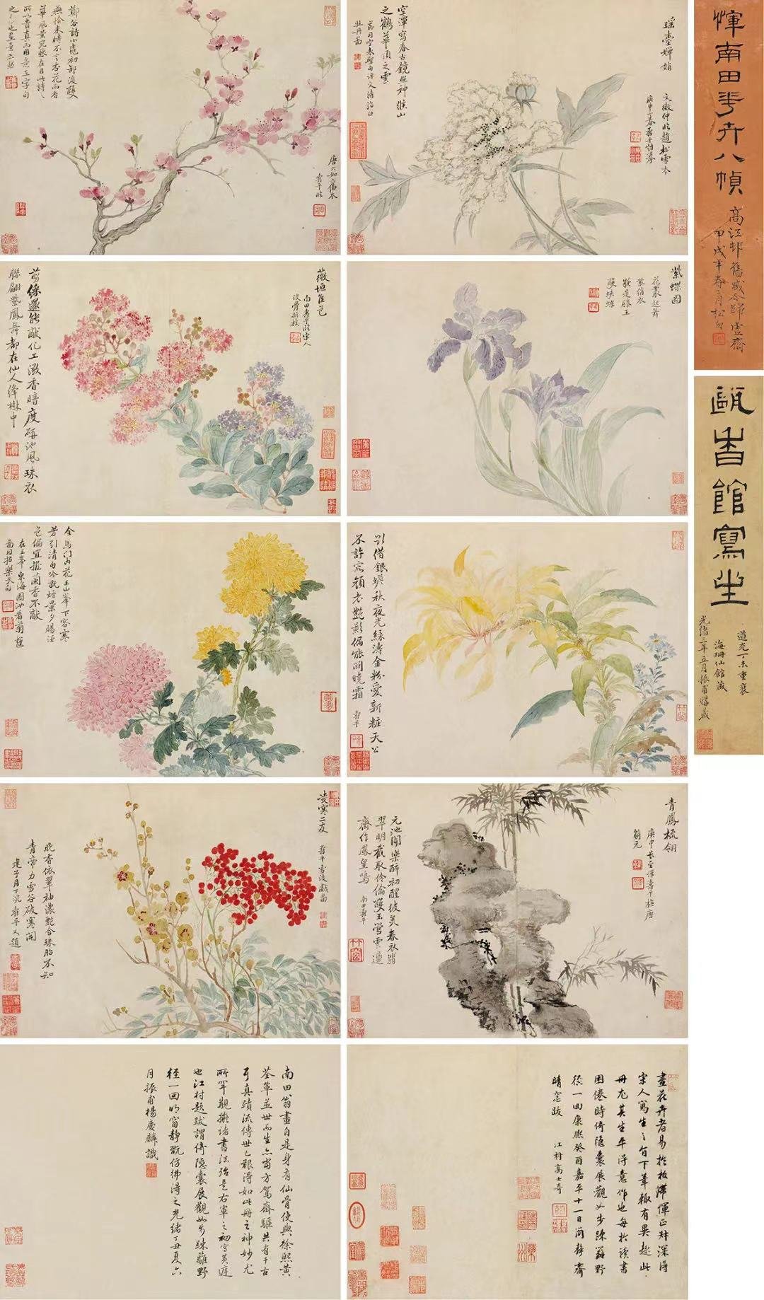 恽寿平，《花卉册》，26x34cmx8 册页，纸本设色，私人藏