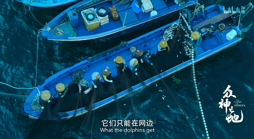 冒死拍下的,还有救吗?