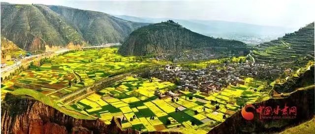 油菜花开时节的卦台山