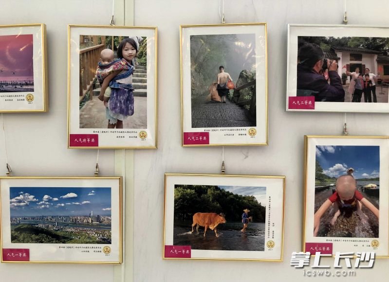 长沙市第四届中老年“爱晚亭”手机摄影大赛获奖作品。长沙晚报全媒体记者 石祯专 摄