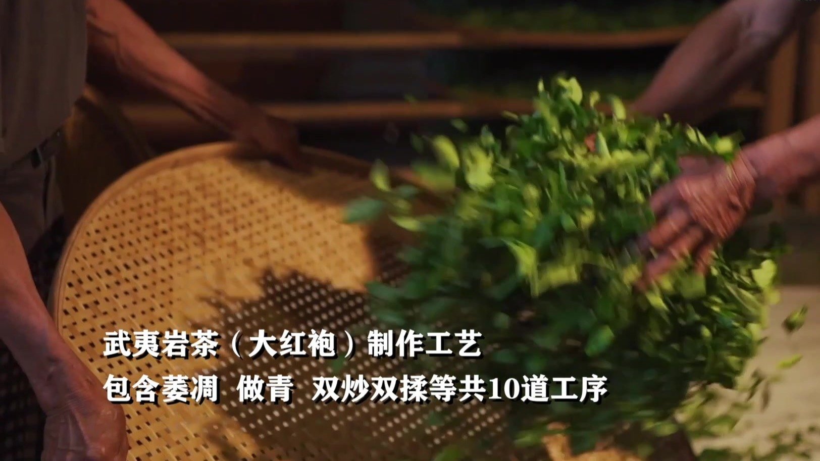 大美非遗，武夷山下茶飘香