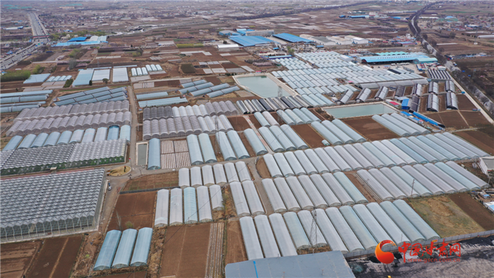 绿色蔬菜住"暖窝" 兰州榆中走出生机勃勃乡村振兴路