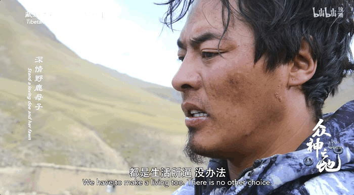 冒死拍下的,还有救吗?
