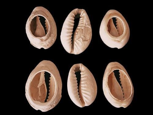 binary_middle (1).jpg