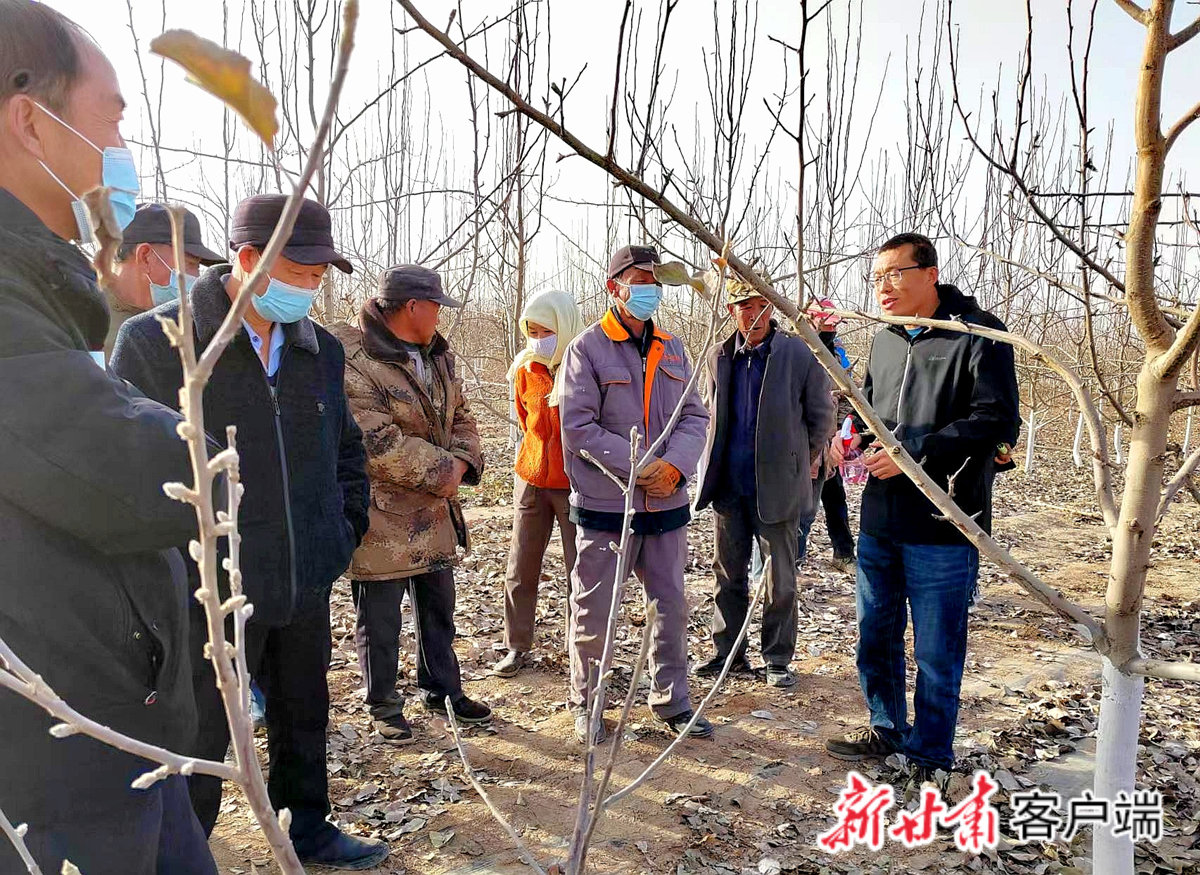 民乐县农技中心主任范宏伟在为果农们讲授冬季梨树管护知识