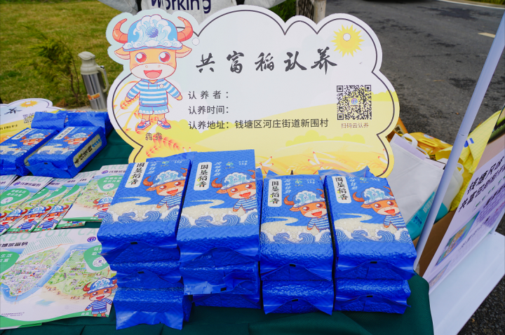 满是稻香,杭州钱塘这个村有了自己的品牌大米