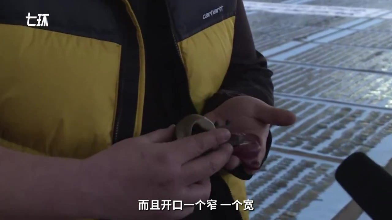 男子收藏近3万个啤酒开瓶器，数量刷新吉尼斯世界纪录