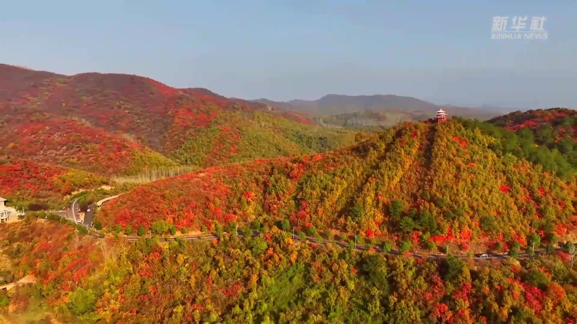 河南桐柏山：万山红遍层林尽染